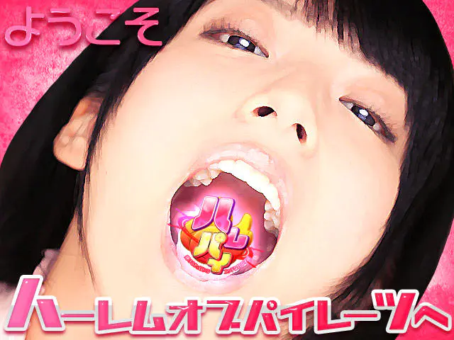 ハーレムオブパイレーツのプレイ画像1