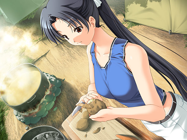 南国ドミニオンのプレイ画像3