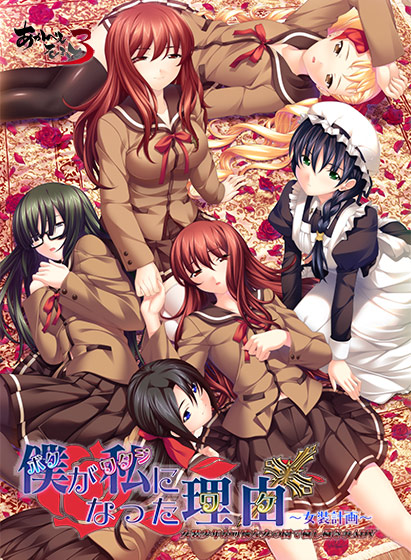 ボクがワタシになった理由 〜女装計画〜のタイトル画像