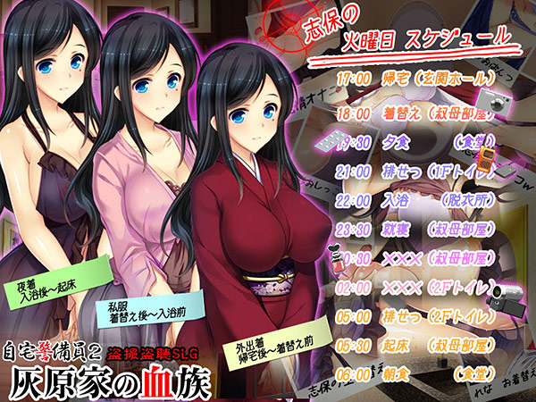 自宅警備員2 ―完全版―のプレイ画像5