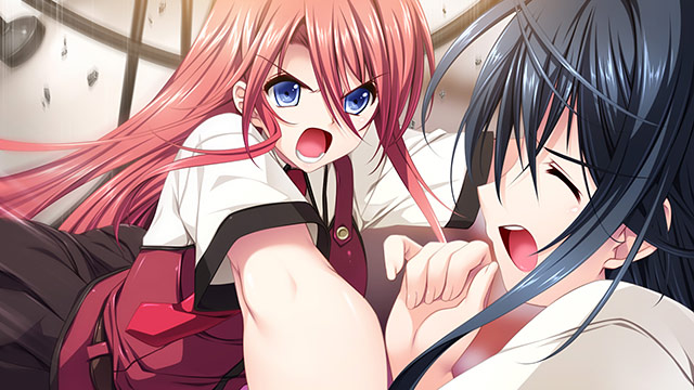 恋する乙女と守護の楯 〜薔薇の聖母〜のプレイ画像4