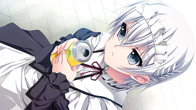 恋する乙女と守護の楯 〜薔薇の聖母〜のプレイ画像21