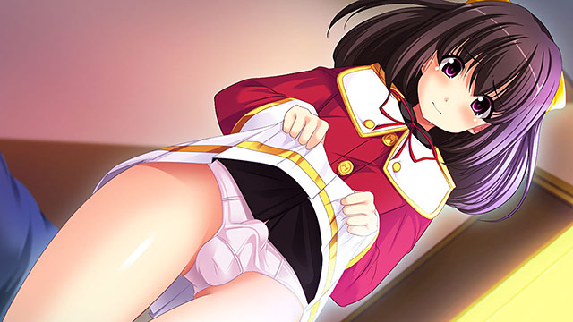 性反転症の「俺」が「私」になるまでのプレイ画像2