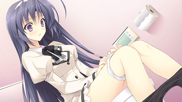 【つり乙】月に寄りそう乙女の作法のプレイ画像1