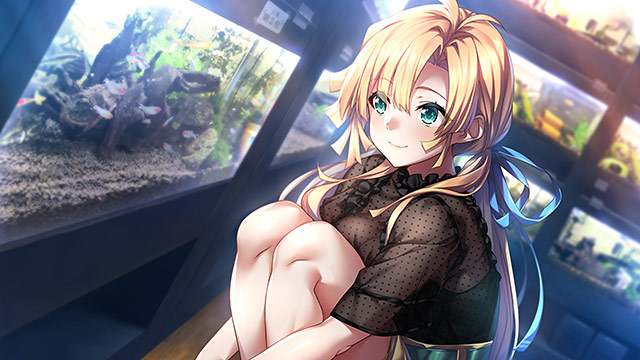 アマナツ＋のプレイ画像008