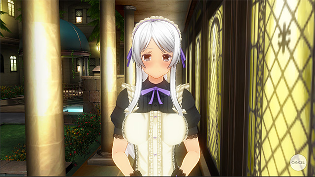 カスタムメイド3D2のプレイ画像011