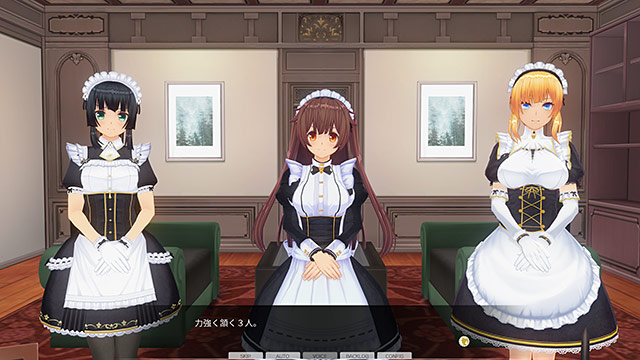 カスタムオーダーメイド3D2のプレイ画像002