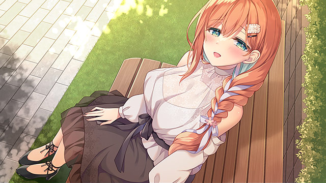 妹(姉)は兄(弟)の性癖を歪ませたい!のプレイ画像007