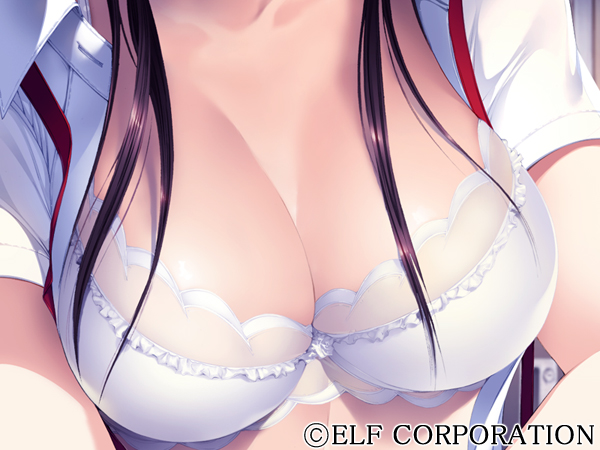 人間デブリ〜コンナジブンニダレガシタ?〜のプレイ画像007