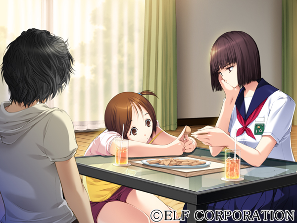 人間デブリ〜コンナジブンニダレガシタ?〜のプレイ画像015