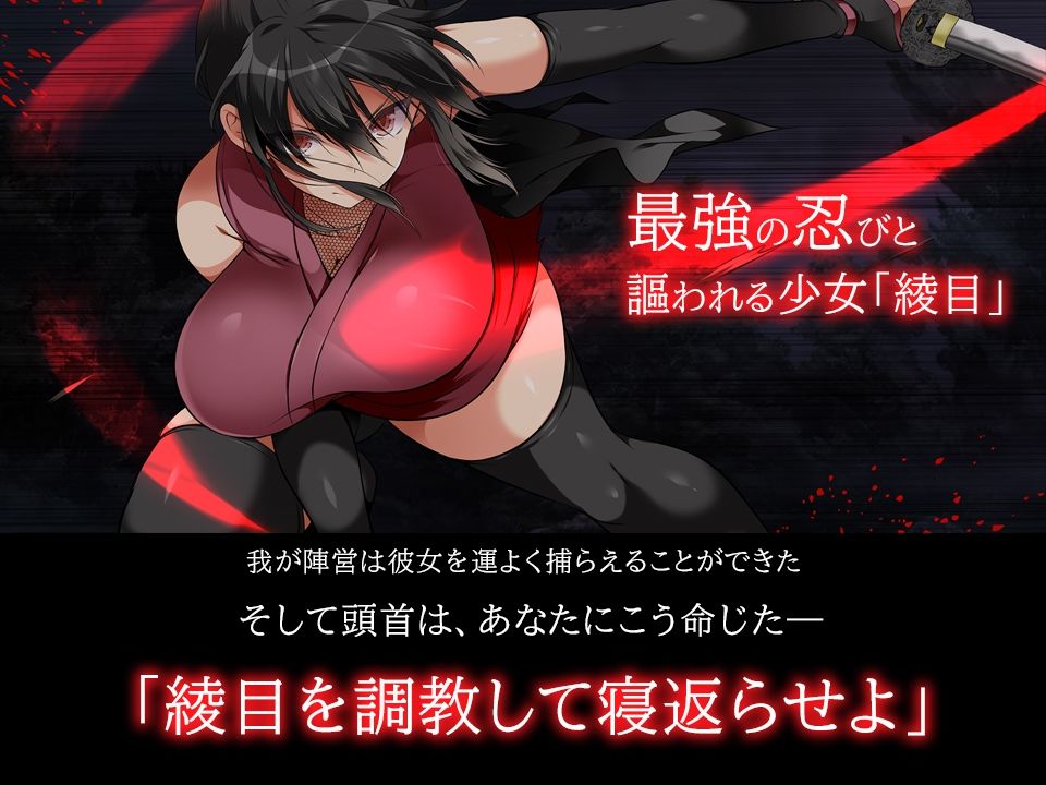 忍堕としのプレイ画像001