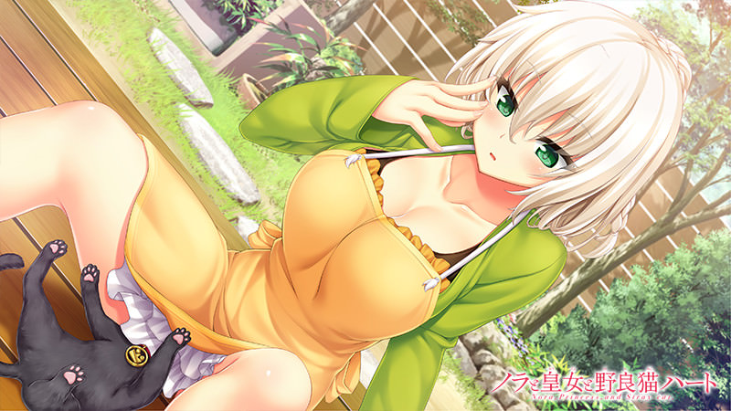 ノラと皇女と野良猫ハート HDのプレイ画像003