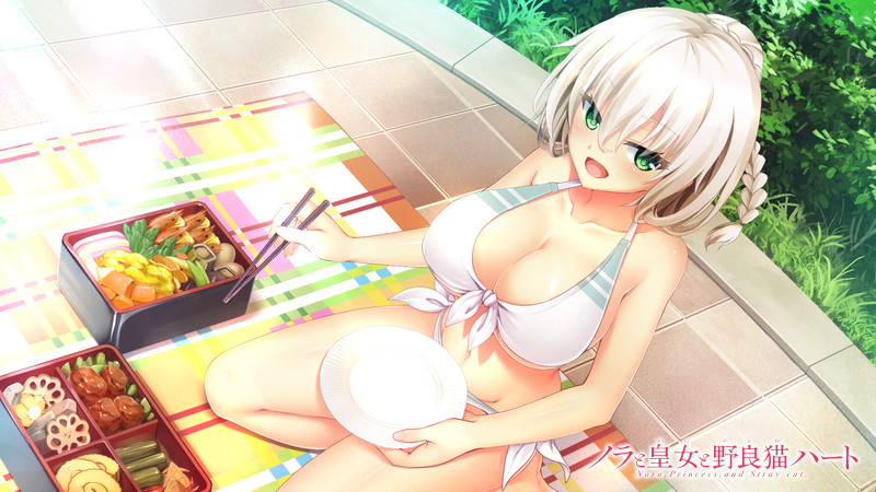 ノラと皇女と野良猫ハート HDのプレイ画像007