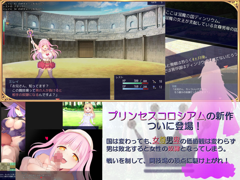 プリンセスコロシアム2のプレイ画像2
