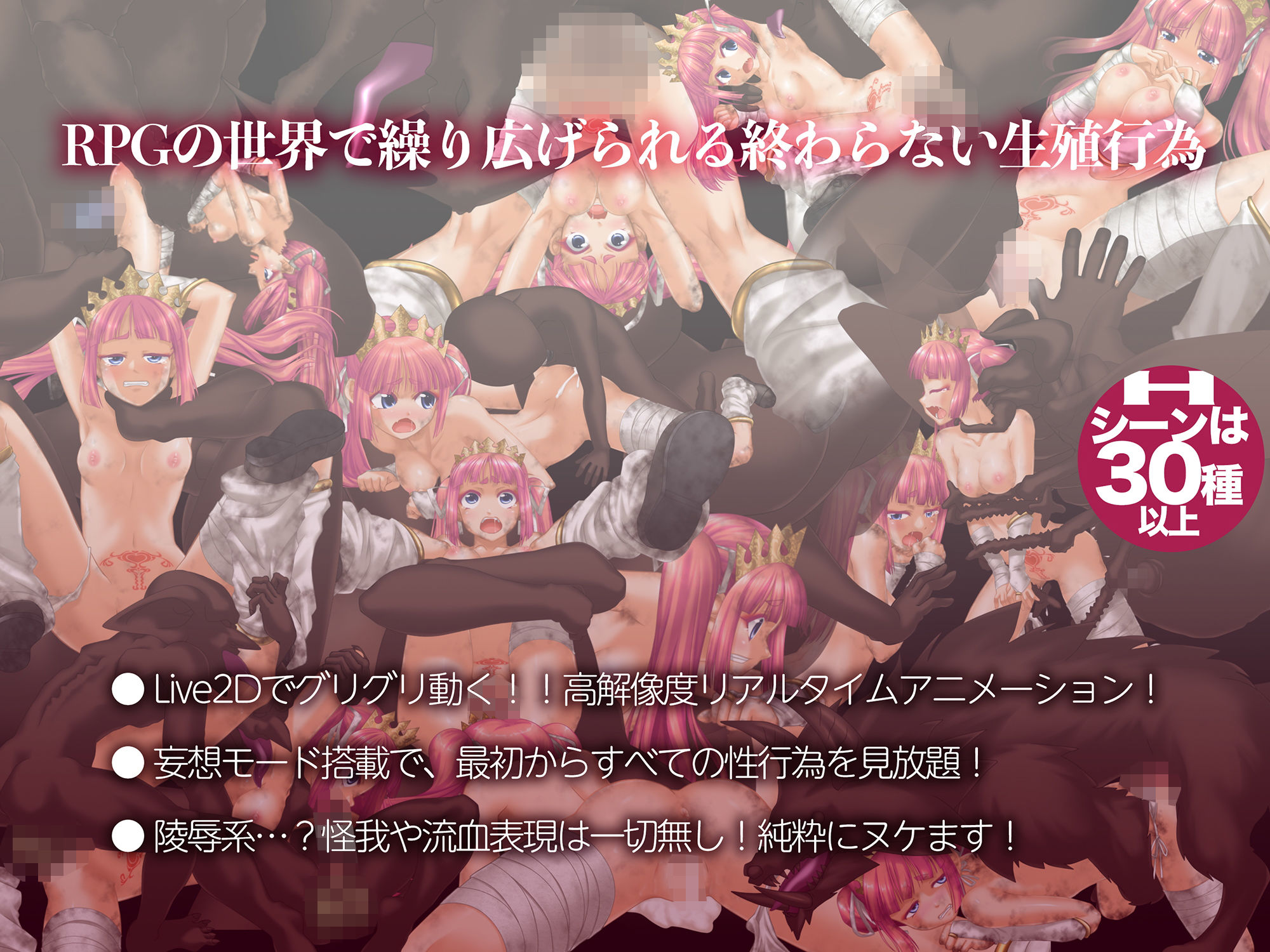 零落の姫騎士アナスティア〜どの種族の精子でも受精する呪いの淫紋〜のプレイ画像001