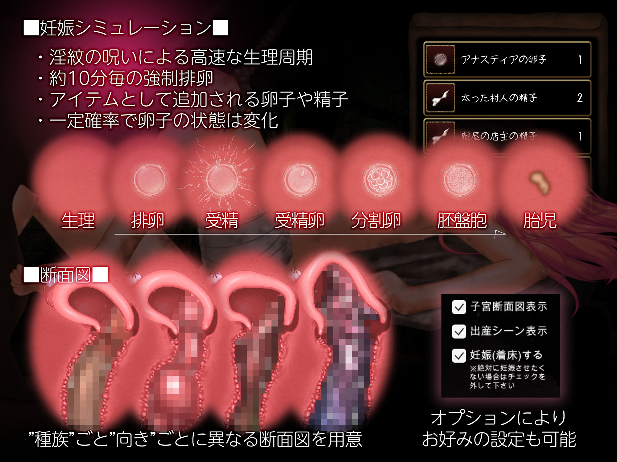 零落の姫騎士アナスティア〜どの種族の精子でも受精する呪いの淫紋〜のプレイ画像005