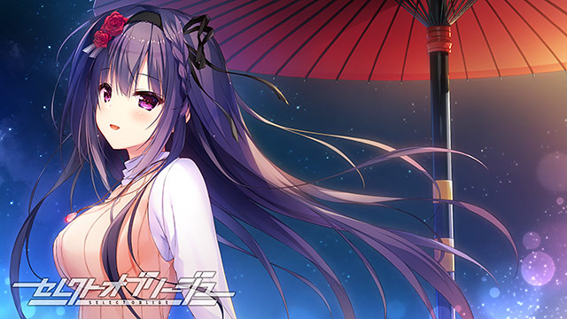 セレクトオブリージュのプレイ画像005