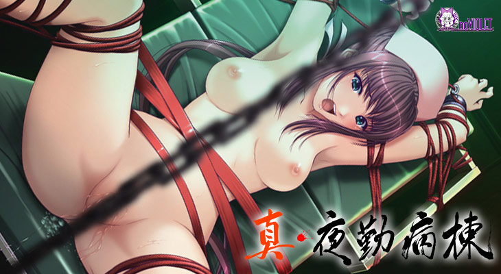 真・夜勤病棟のタイトル画像