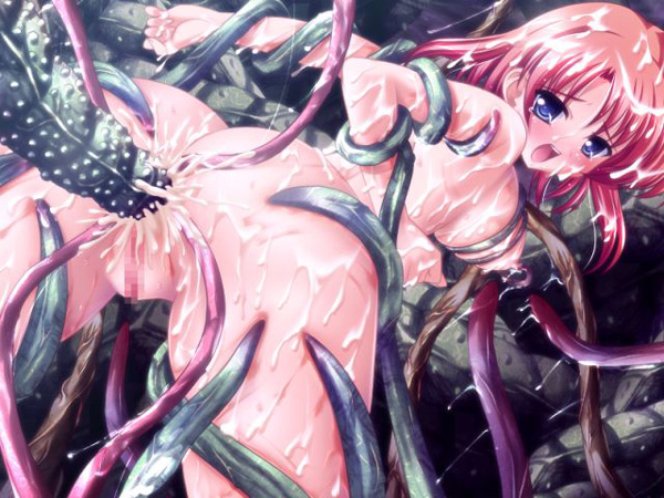 触区＆W触区パックのプレイ画像006