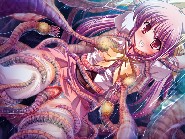 触区＆W触区パックのプレイ画像008