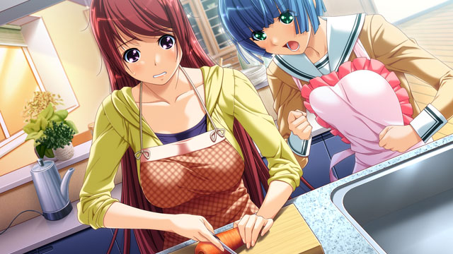 しすたー・すきーむ HDのプレイ画像003