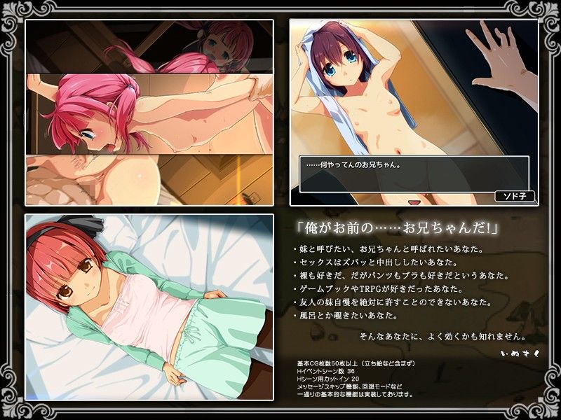 限界！？お兄ちゃん シスタートラベルのプレイ画像004