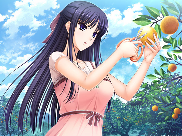 ワルキューレロマンツェ Re:tell IIのプレイ画像2