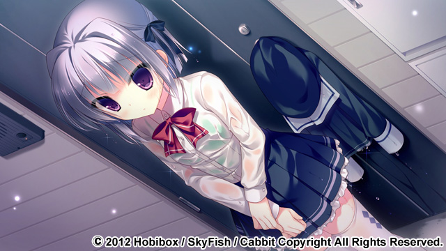 キミへ贈る、ソラの花のプレイ画像007