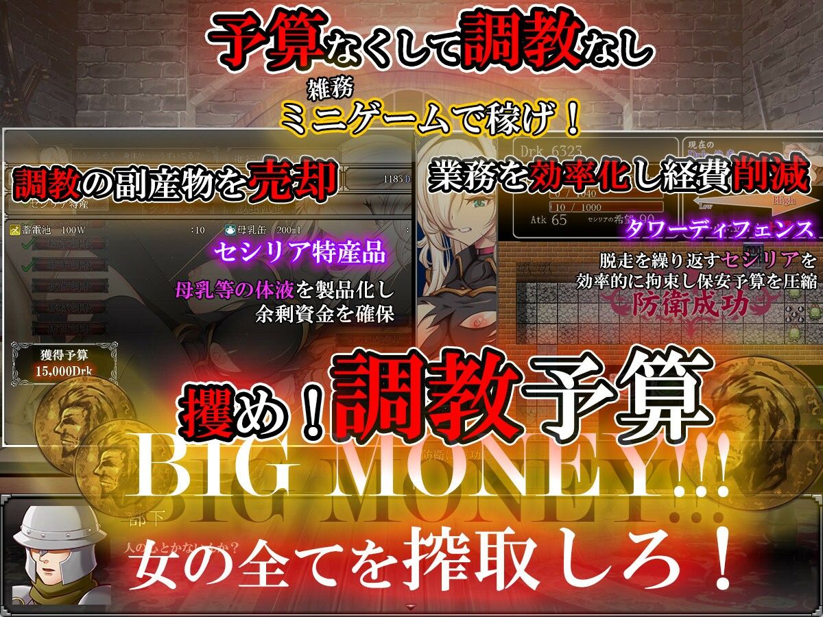 雌豚性奴隷剣士セシリア 〜凛々しき女剣士は淫らな調教に堕ちる〜のプレイ画像003