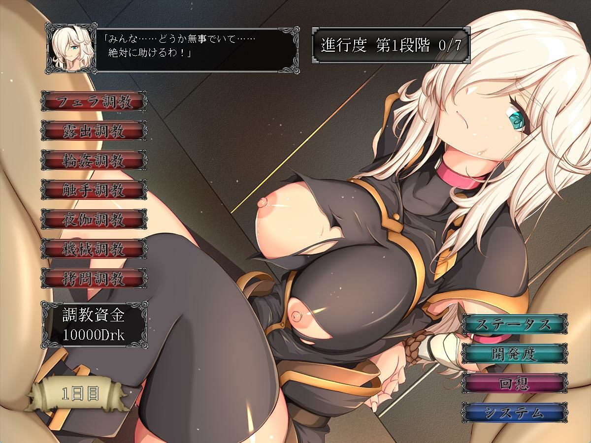 雌豚性奴隷剣士セシリア 〜凛々しき女剣士は淫らな調教に堕ちる〜のプレイ画像008