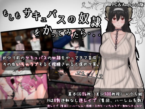 もしもサキュバスの奴隷をかってみたら・・・のタイトル画像