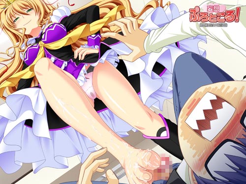 妄想ぷろとこる！-姫×巫女×ロボ-のプレイ画像001