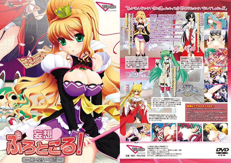 妄想ぷろとこる!-姫×巫女×ロボ-のタイトル画像