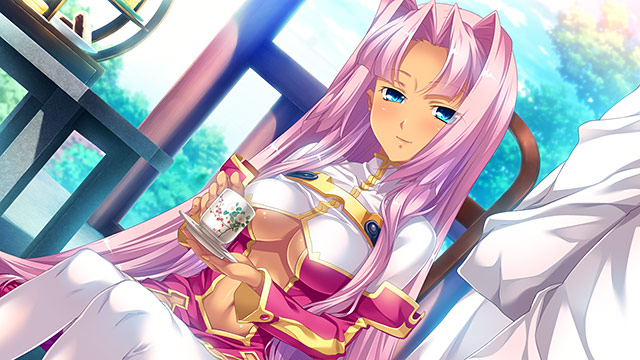 真・恋姫†夢想-革命- 孫呉の血脈のプレイ画像011