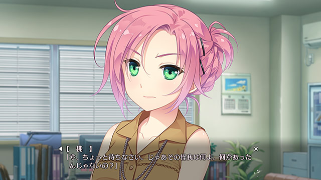 スイセイギンカのプレイ画像014