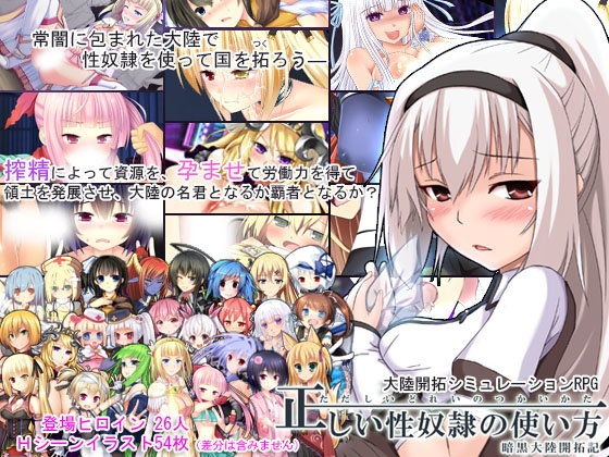 正しい性奴隷の使い方-暗黒大陸開拓記-のタイトル画像