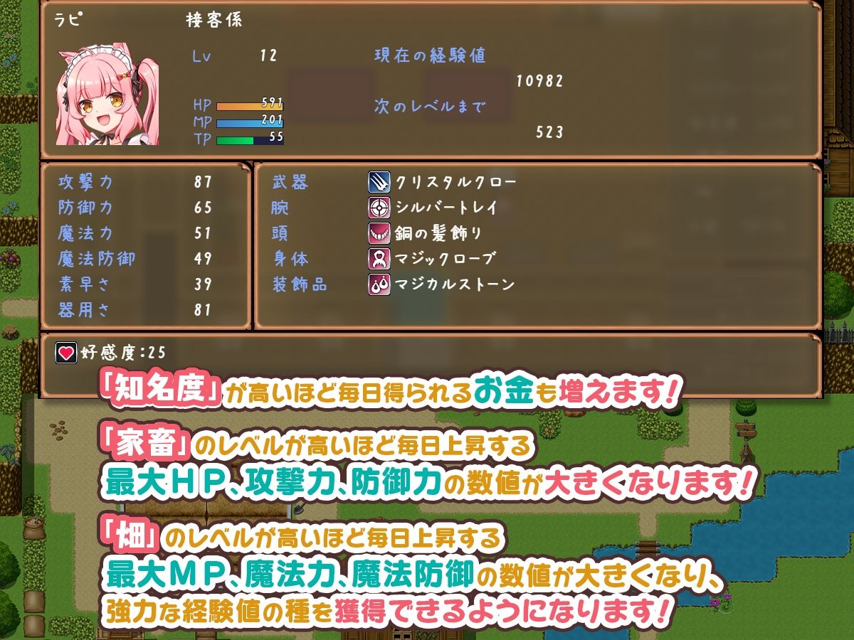 宿屋の店主と亜人奴隷〜安宿の収入では暮らせないのでダンジョンでも稼ぐことにした〜のプレイ画像004